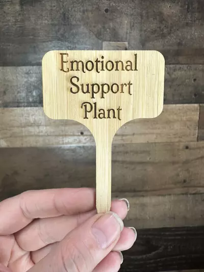 plant/Emotional support plant bamboo stake-0-thumbnail