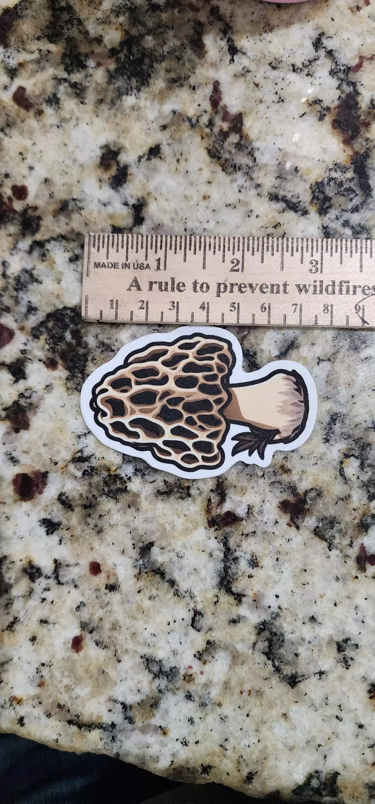 plant/Matte morel mushroom sticker-1