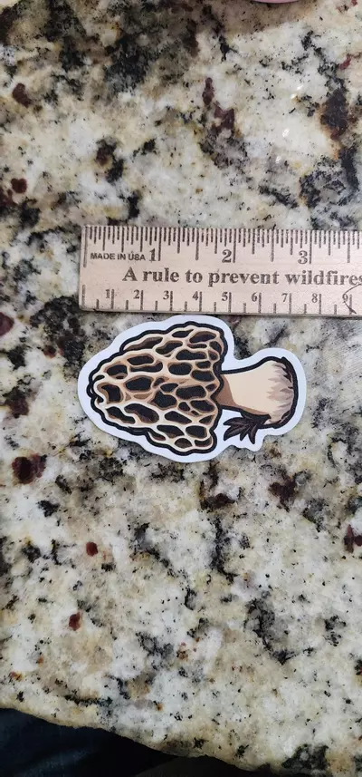 plant/Matte morel mushroom sticker-1-thumbnail