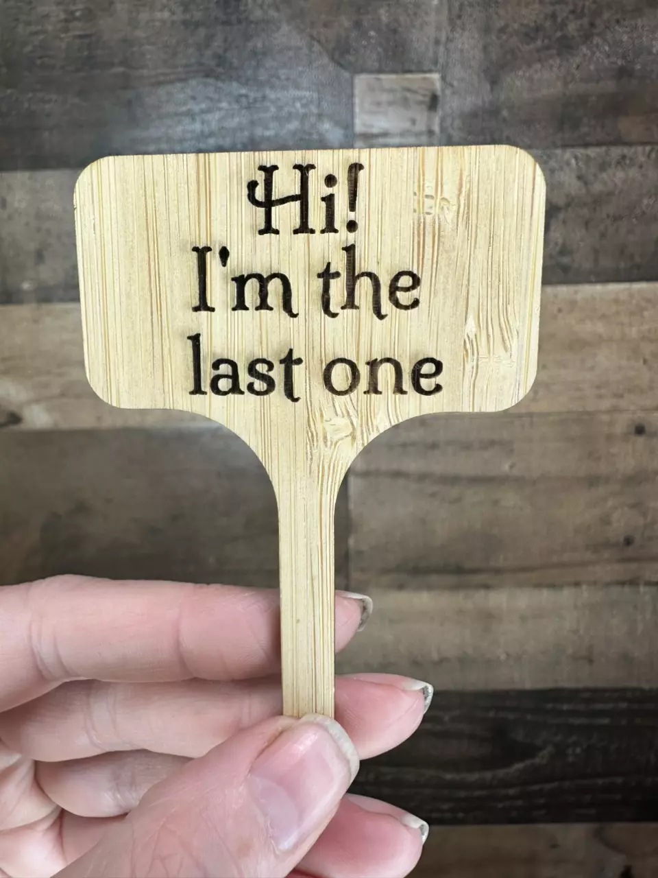 plant/Hi! I’m the last one bamboo stake-0