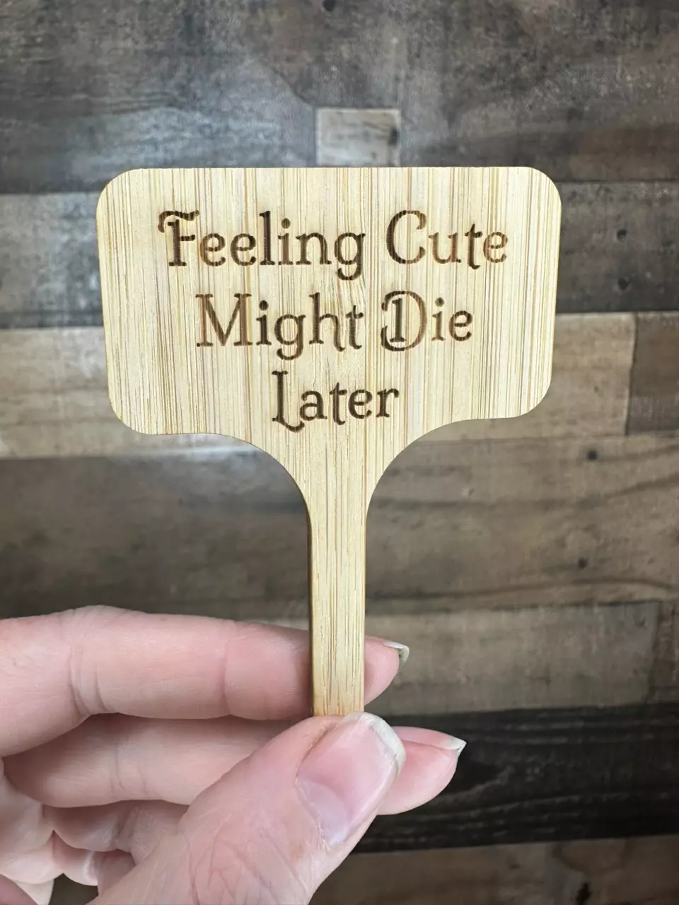 plant/Feeling cute… might die later bamboo stake-0