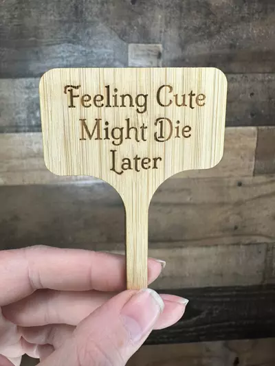 plant/Feeling cute… might die later bamboo stake-0-thumbnail