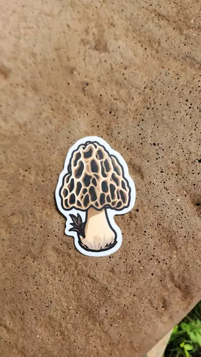 plant/Matte morel mushroom sticker-0-thumbnail