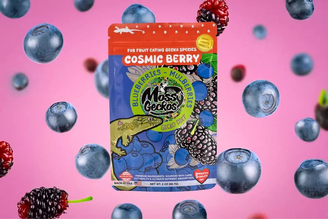 plant/Cosmic Berry-0