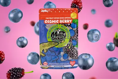 plant/Cosmic Berry-0-thumbnail