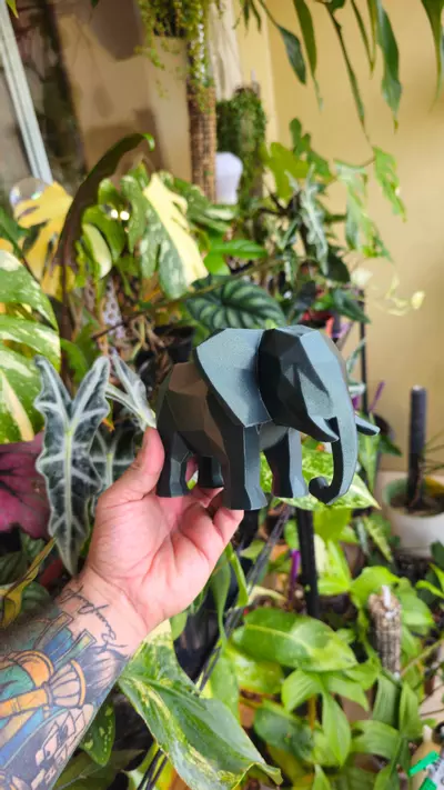 plant/CUSTOM Geometric Elephant - Specialty Colors-1-thumbnail