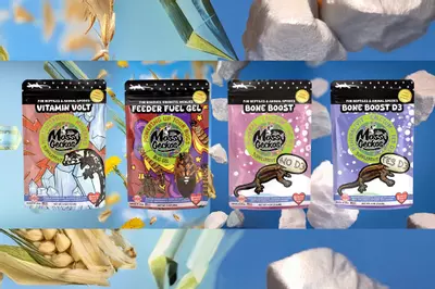 plant/4 Pack Supplements-0-thumbnail