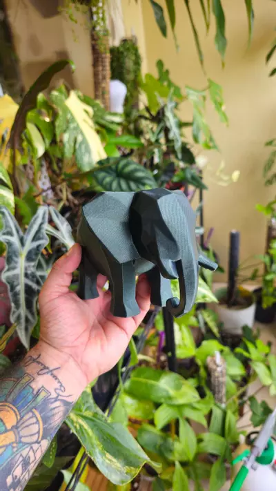 plant/CUSTOM Geometric Elephant - Specialty Colors-0-thumbnail