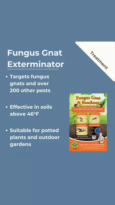 plant/Sf Nematodes (Fungus Gnats Exterminator)-0-thumbnail