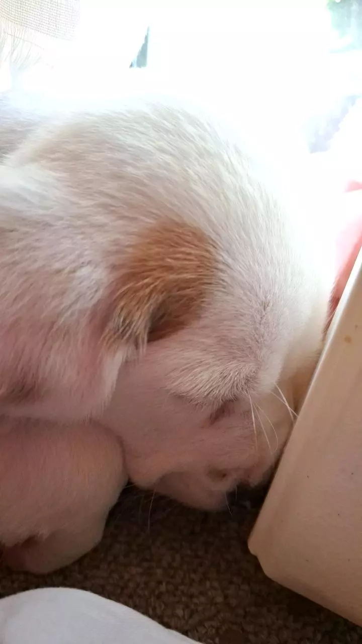 plant/Mystery jewelry-1