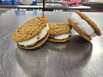 plant/Freeze dried Little debbie oatmeal cream pies-0-thumbnail