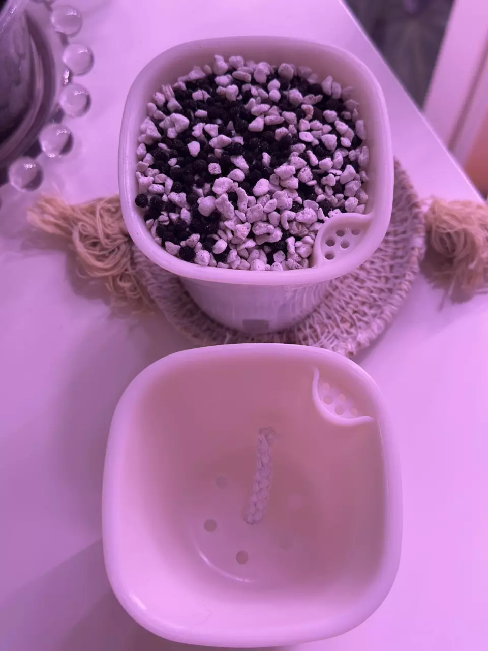 plant/Self watering setup 3’ - stratum/perlite included upon request!-2