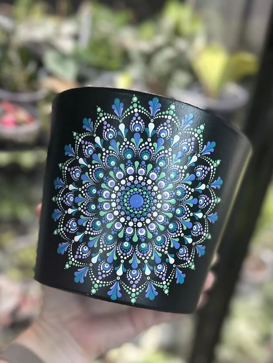 plant/PRE-ORDER 6.7 inch terracotta pot (6.7 x 5.5) black/blue, mint, lavender, aqua-0