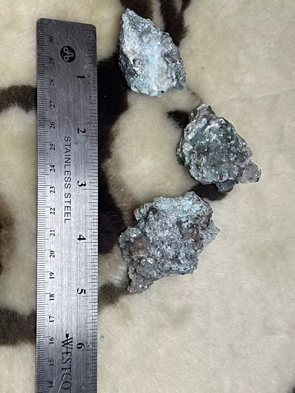 plant/Aurichalcite from Durango Mexico random pull-1