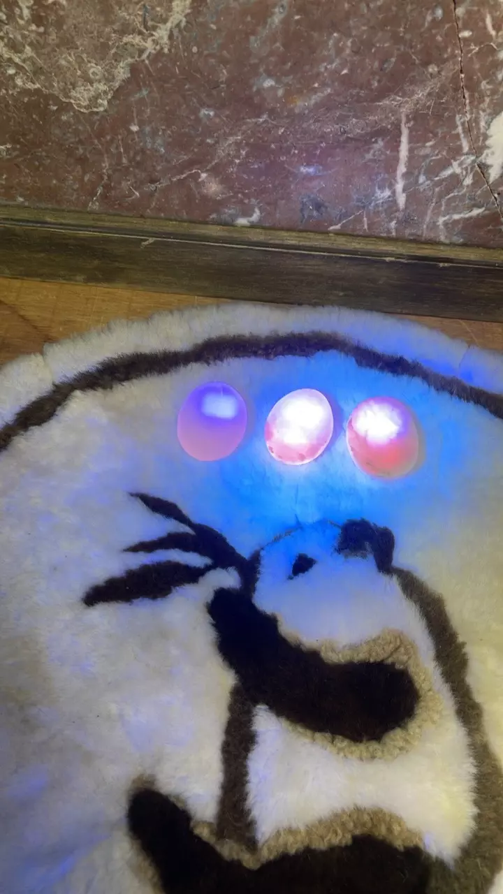 plant/Mangano calcite worry stone-0