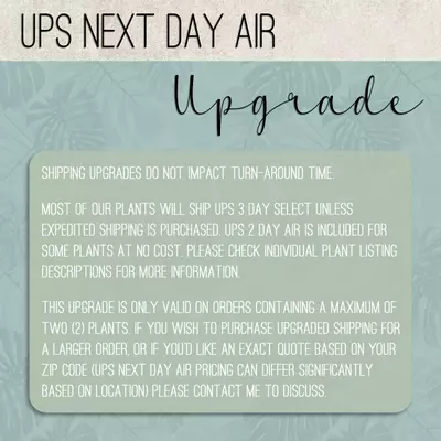 shipping_upgrade/UPS Next Day Air Shipping Upgrade-1-thumbnail