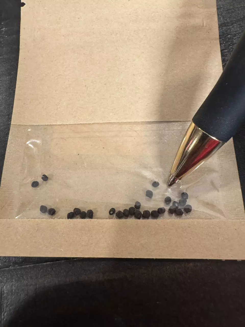 plant/20 SEEDS - Leuchtenbergia principis-3