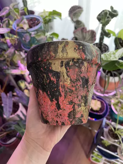 plant/5” Hydro-dipped clay pot: coral/black/gold-1-thumbnail