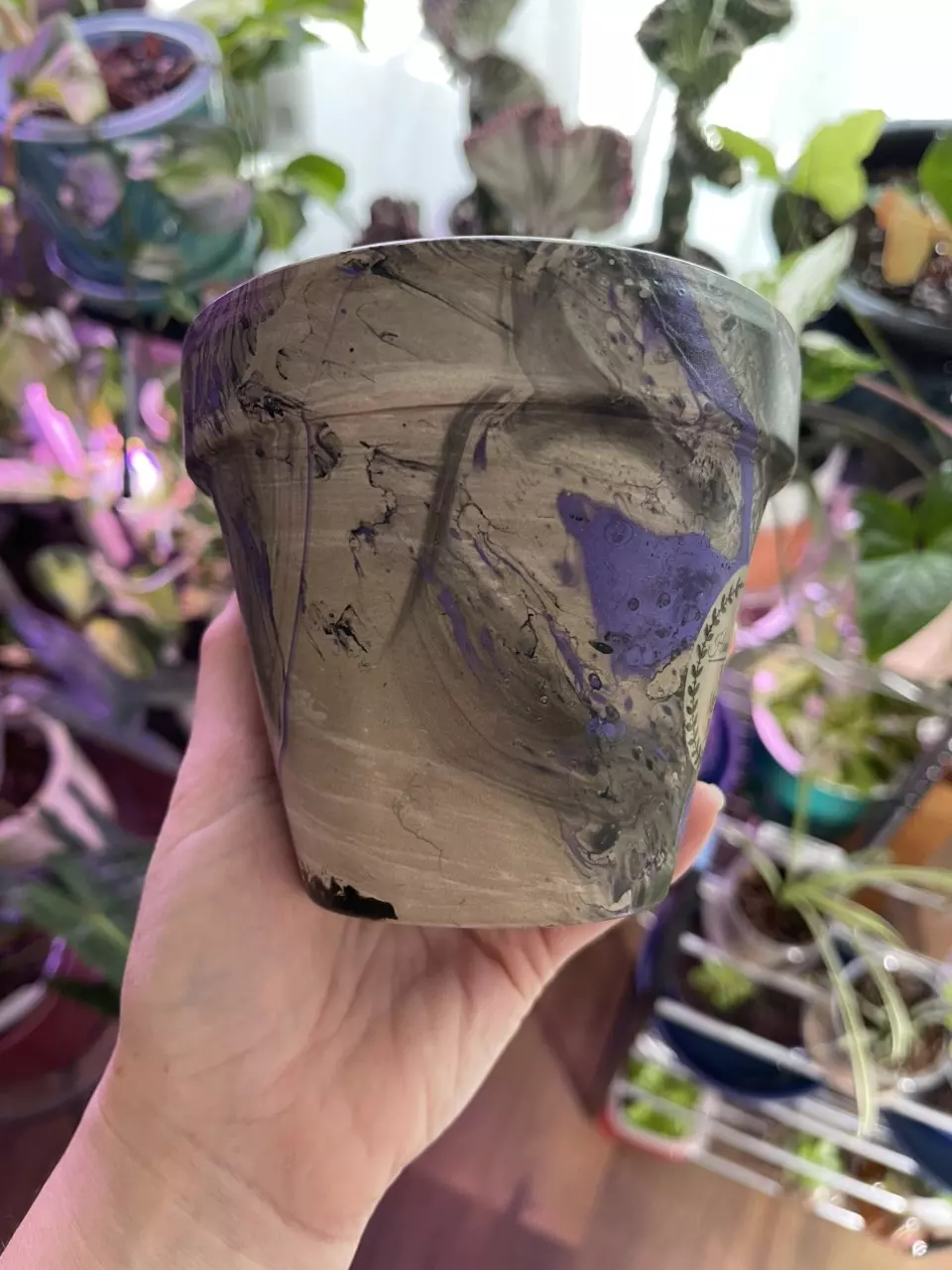 plant/4” Hydro-dipped clay pot: purple/black-1