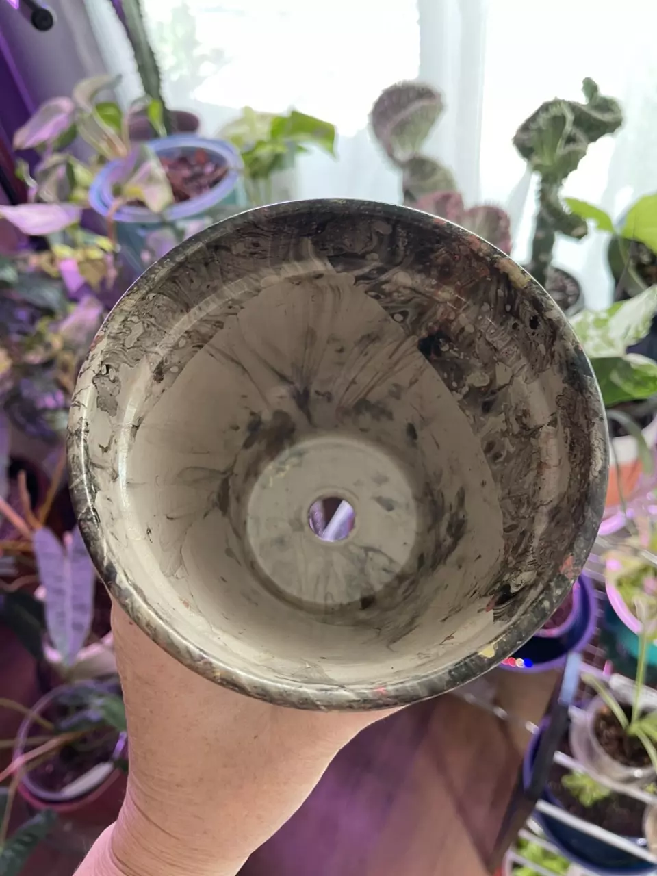 plant/5” Hydro-dipped clay pot: coral/black/gold-5