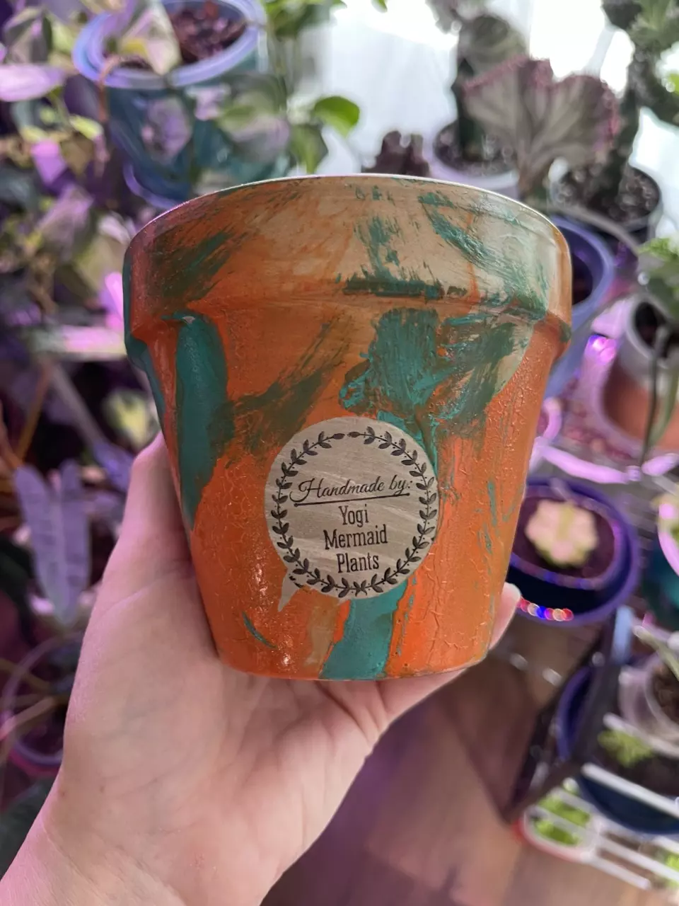 plant/4” Hydro-dipped clay pot: turquoise/orange-0