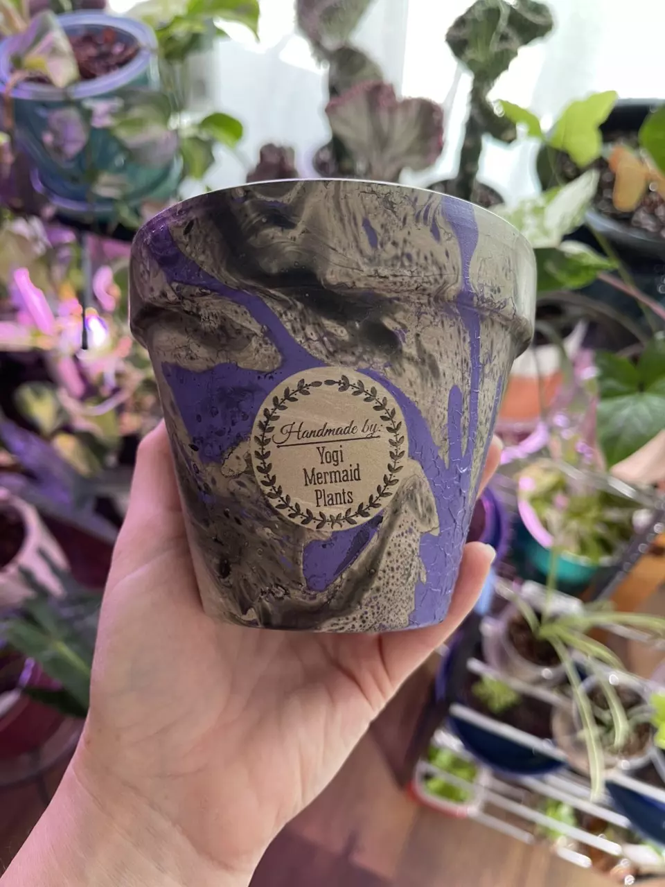 plant/4” Hydro-dipped clay pot: purple/black-0