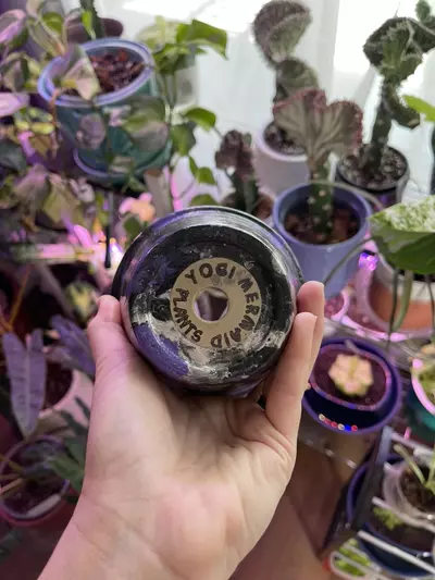 plant/4” Hydro-dipped clay pot: purple/black/silver-4-thumbnail