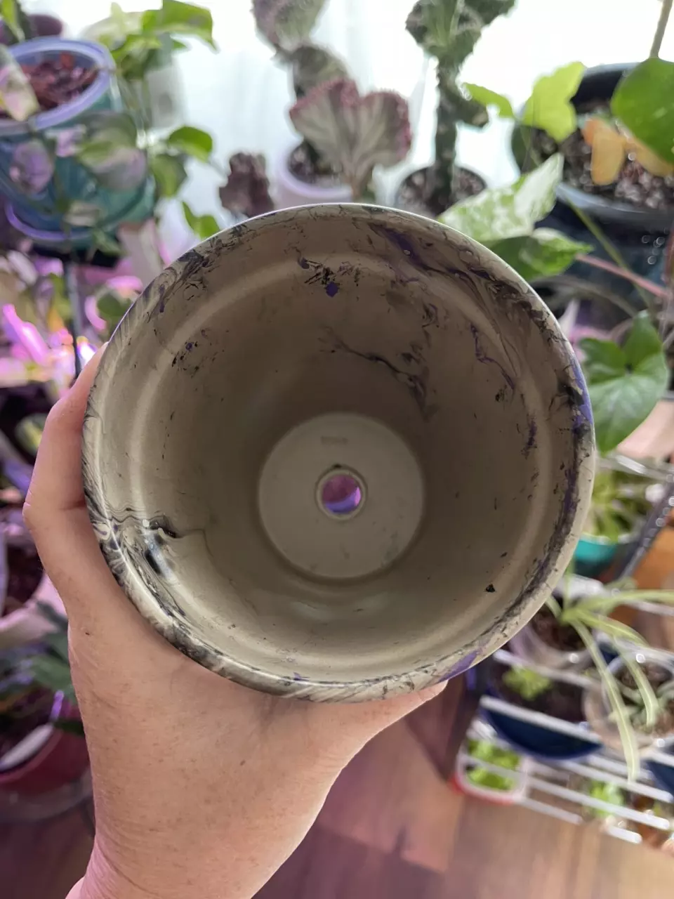 plant/4” Hydro-dipped clay pot: purple/black-5