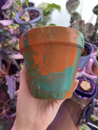 plant/4” Hydro-dipped clay pot: turquoise/orangs-2-thumbnail