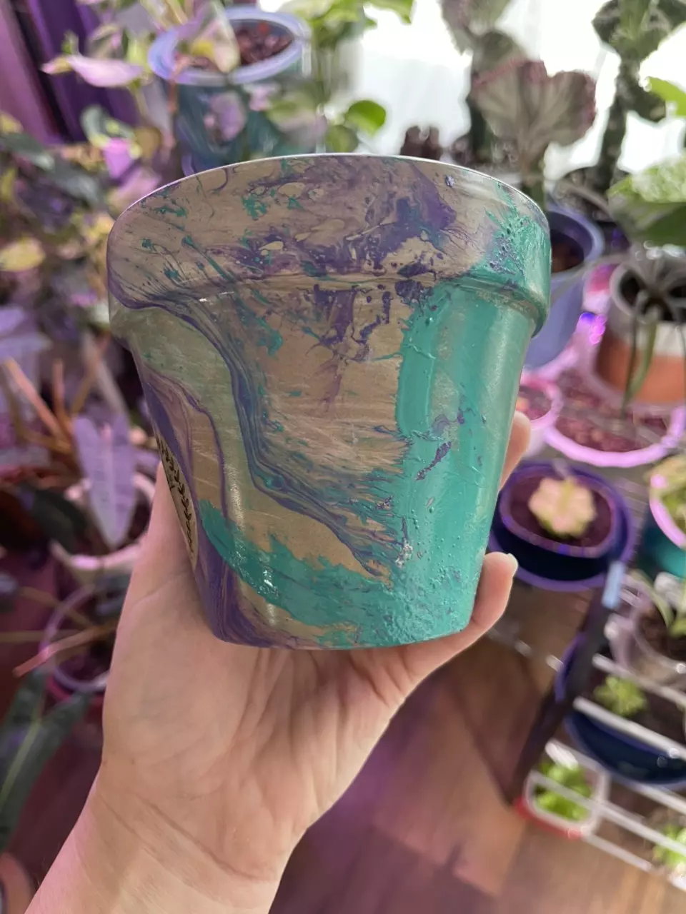 plant/4” Hydro-dipped clay pot: turquoise/purple/silver-5