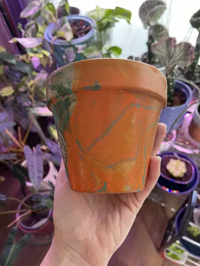 plant/4” Hydro-dipped clay pot: turquoise/orange-3-thumbnail