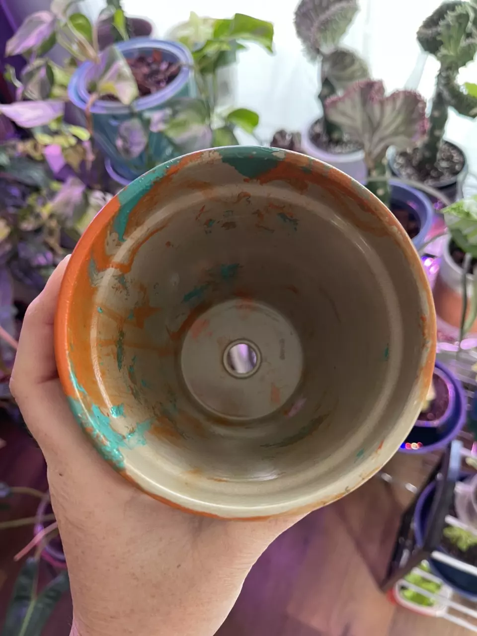 plant/4” Hydro-dipped clay pot: turquoise/orange-5