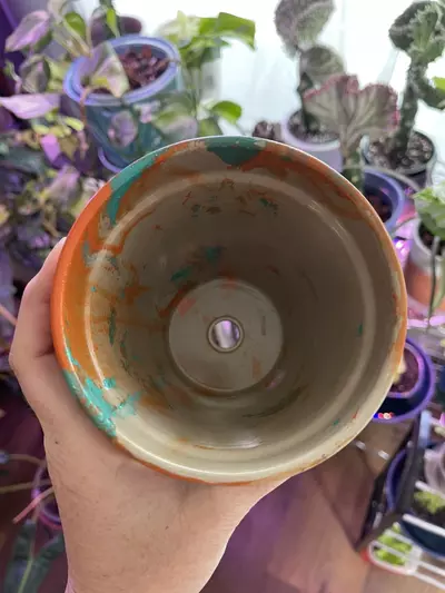 plant/4” Hydro-dipped clay pot: turquoise/orange-5-thumbnail