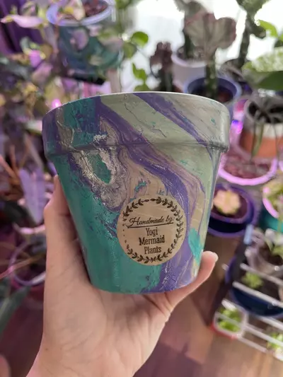 plant/4” Hydro-dipped clay pot: turquoise/purple/silver-0-thumbnail