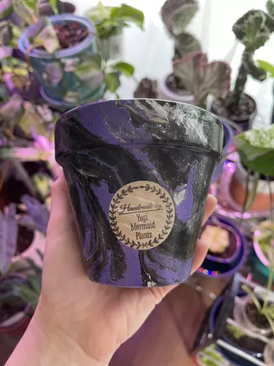 plant/4” Hydro-dipped clay pot: purple/black/silver-0-thumbnail