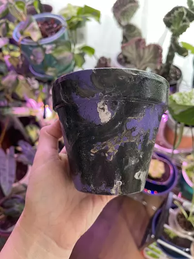 plant/4” Hydro-dipped clay pot: purple/black/silver-3-thumbnail
