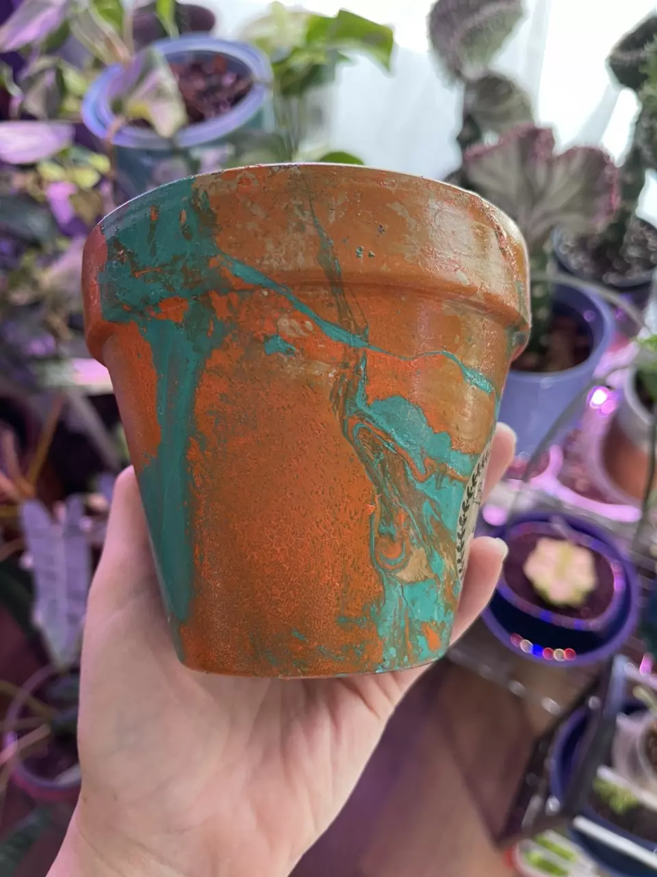 plant/4” Hydro-dipped clay pot: turquoise/orangs-1