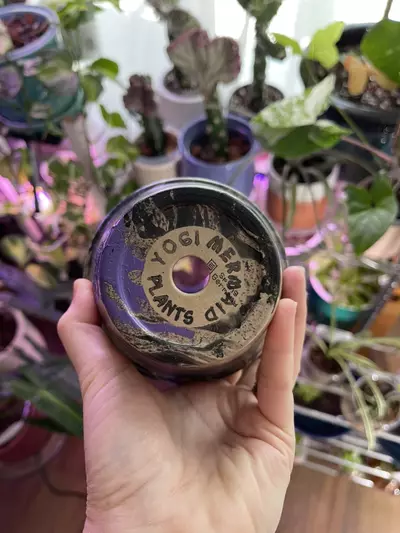 plant/4” Hydro-dipped clay pot: purple/black-4-thumbnail