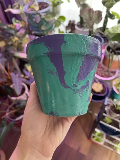 plant/4” Hydro-dipped clay pot: turquoise/purple/silver-4-thumbnail