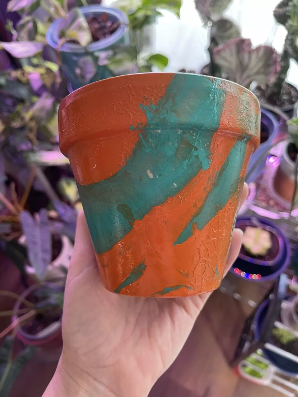 plant/4” Hydro-dipped clay pot: turquoise/orange-1