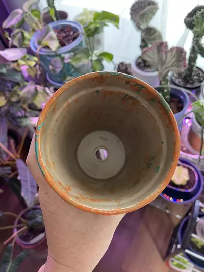 plant/4” Hydro-dipped clay pot: turquoise/orangs-5-thumbnail