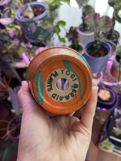 plant/4” Hydro-dipped clay pot: turquoise/orange-4-thumbnail