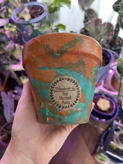 plant/4” Hydro-dipped clay pot: turquoise/orangs-0-thumbnail