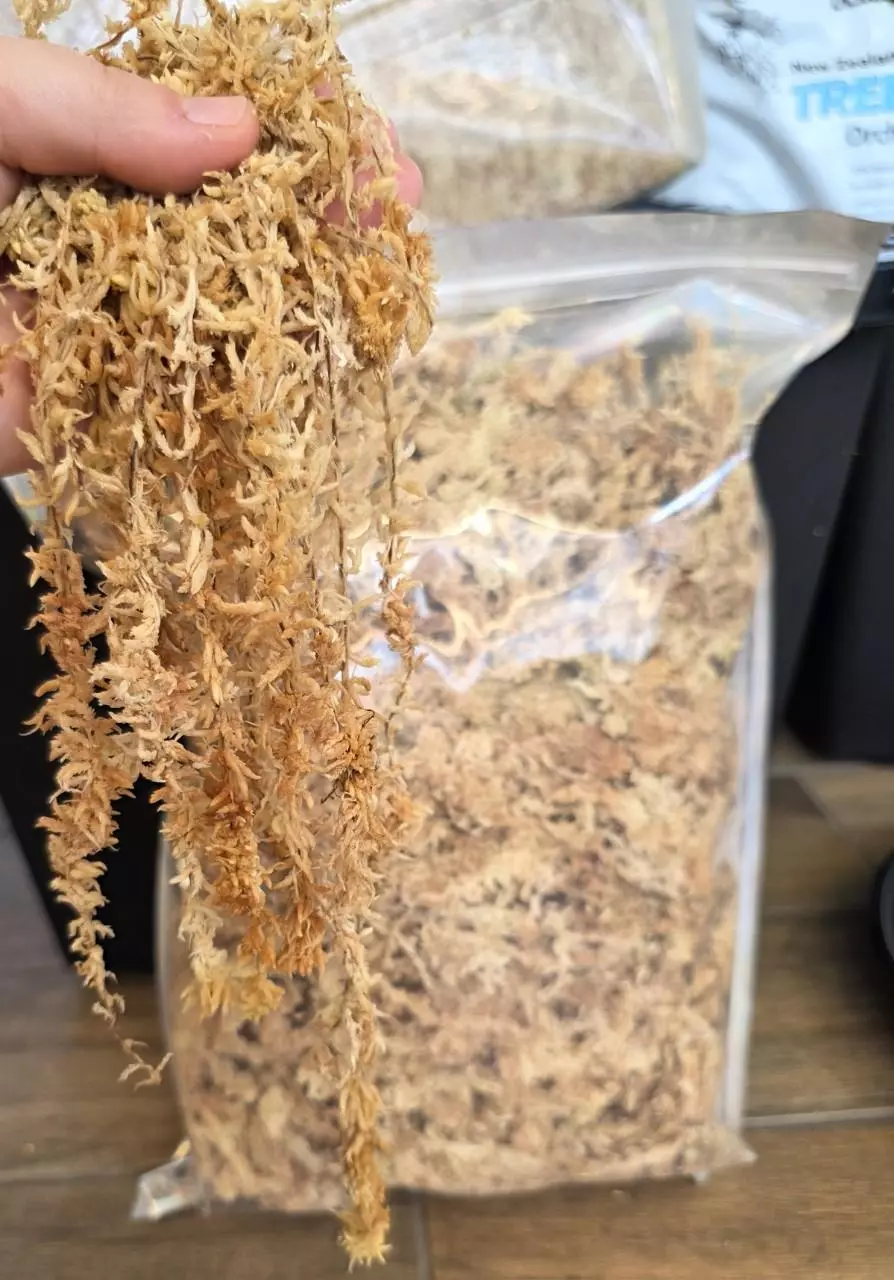 plant/One Mile Moss 150g-0