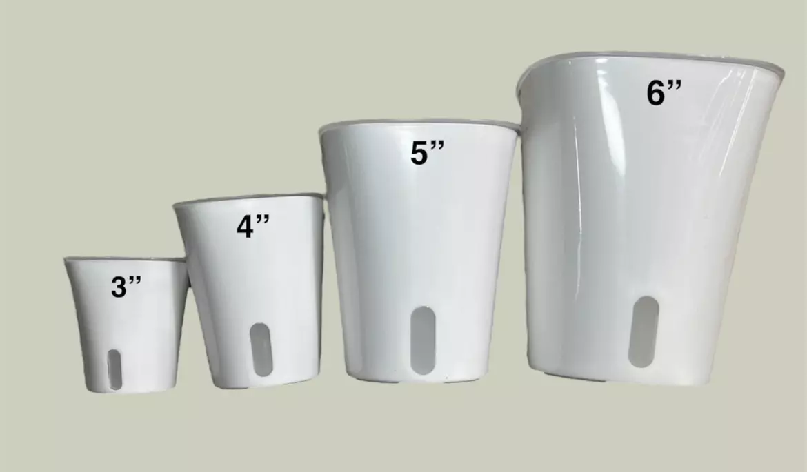 plant/(10 pack) 3” Self Watering Pot with Clear Inner Pot-1