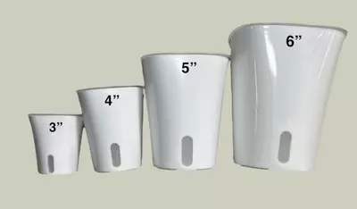 plant/(10 pack) 3” Self Watering Pot with Clear Inner Pot-1-thumbnail