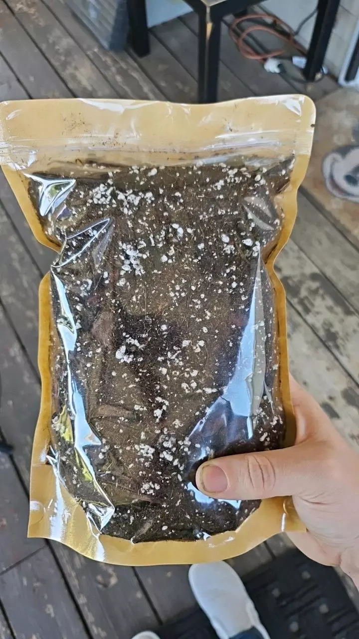 plant/Chunky Aroid Soil-0