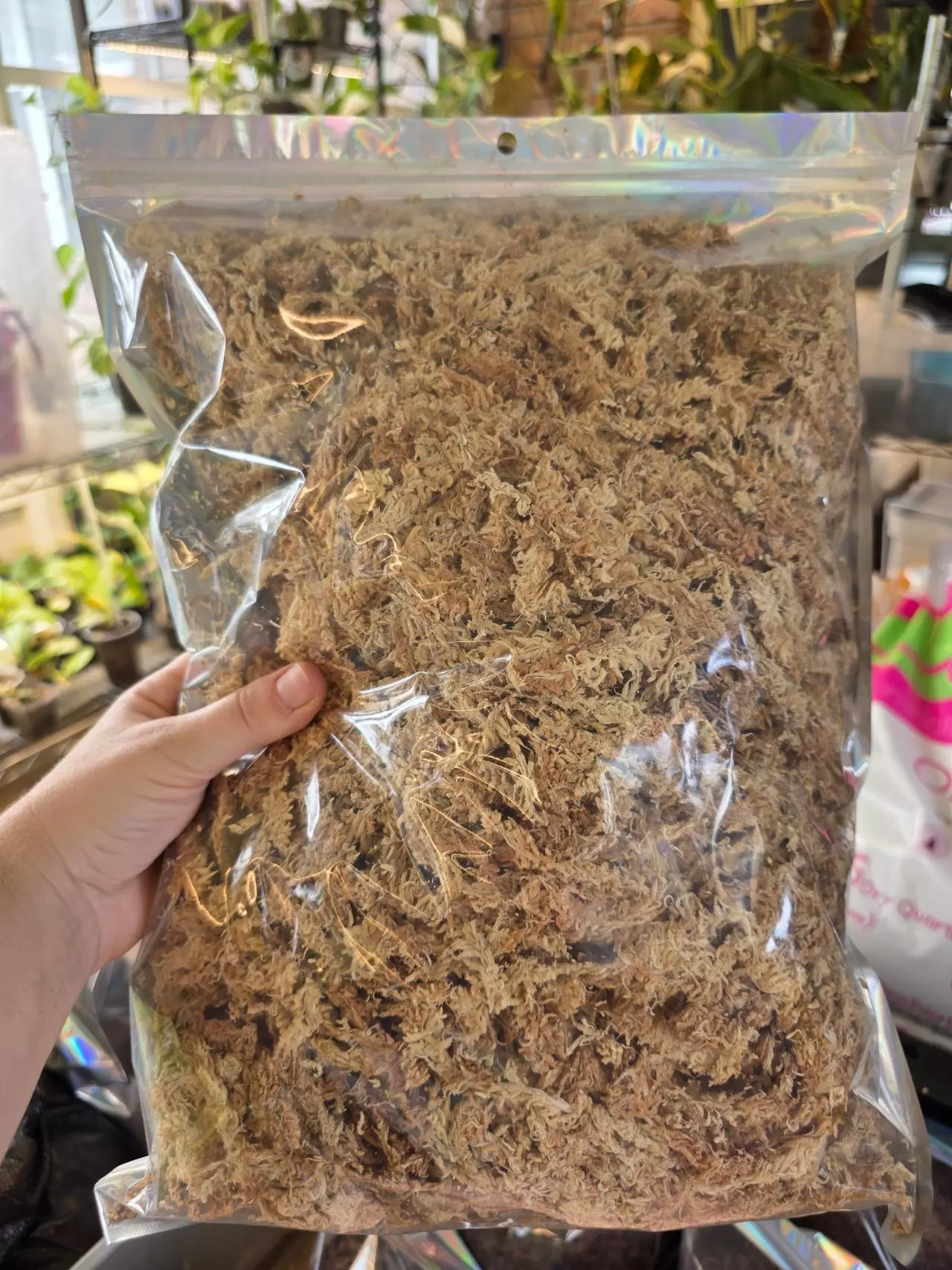 plant/One Mile Moss 150g-1