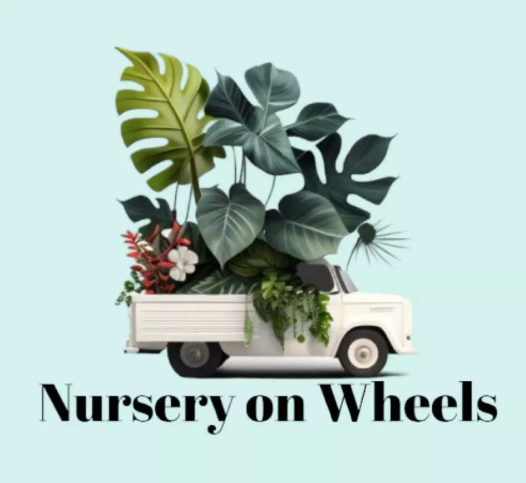 free_shipping/Gift card-0