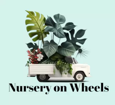 free_shipping/Gift card-0-thumbnail